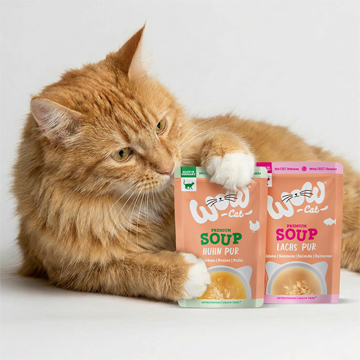 Suppen für Katzen Suppen für Katzen