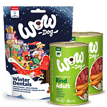 Winter-Set