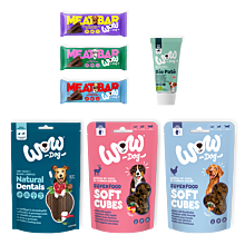 Hunde Leckerlis Snackbox Inhalt