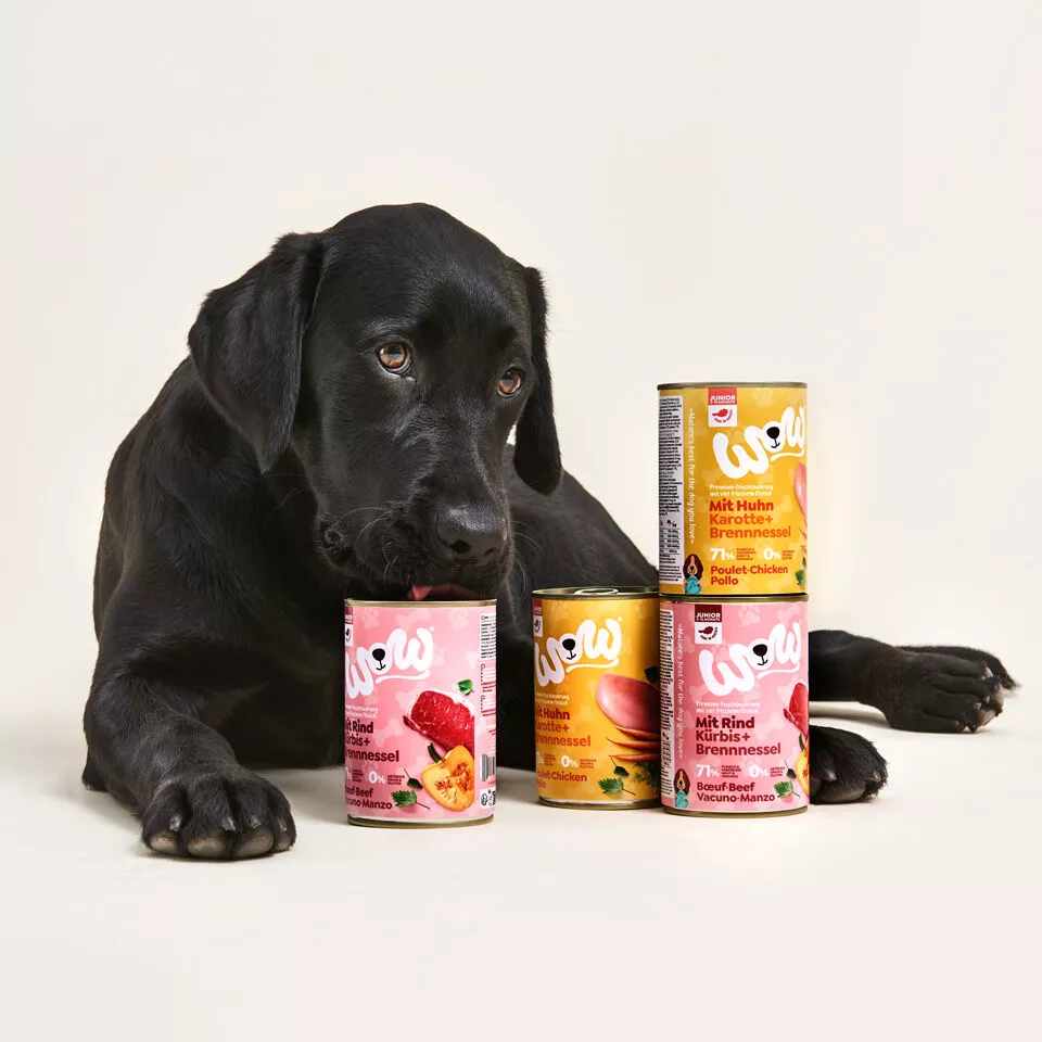 Hochwertiges Welpen-Nassfutter Huhn 150g | WOW DOG