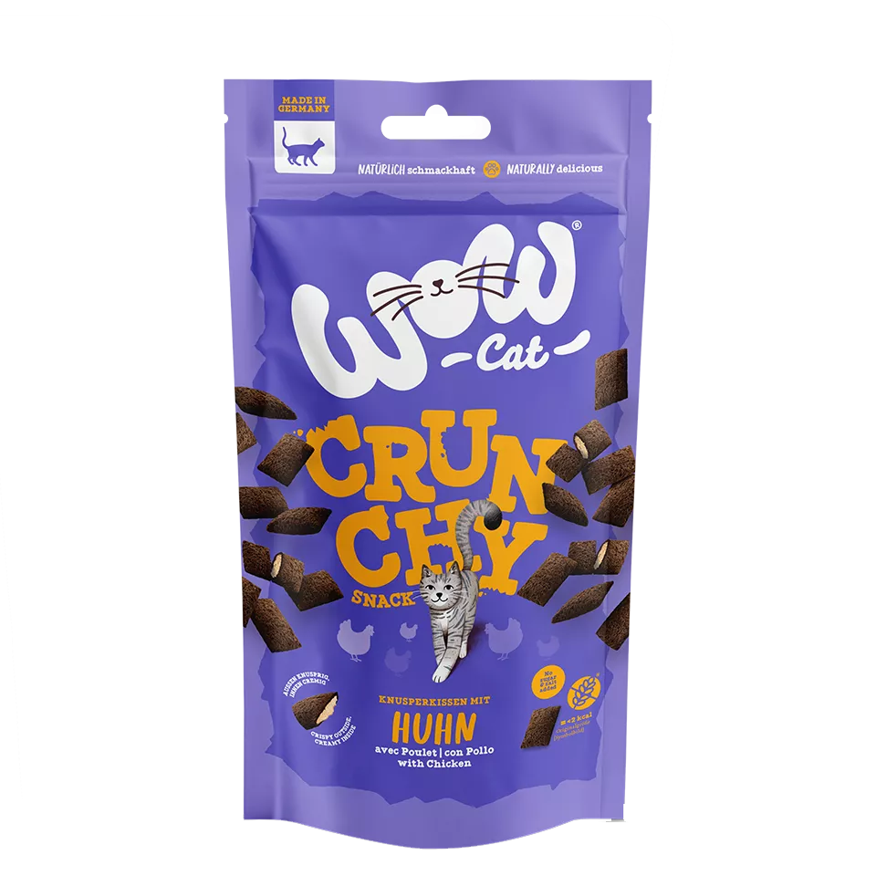 Crunchy Snack mit Huhn