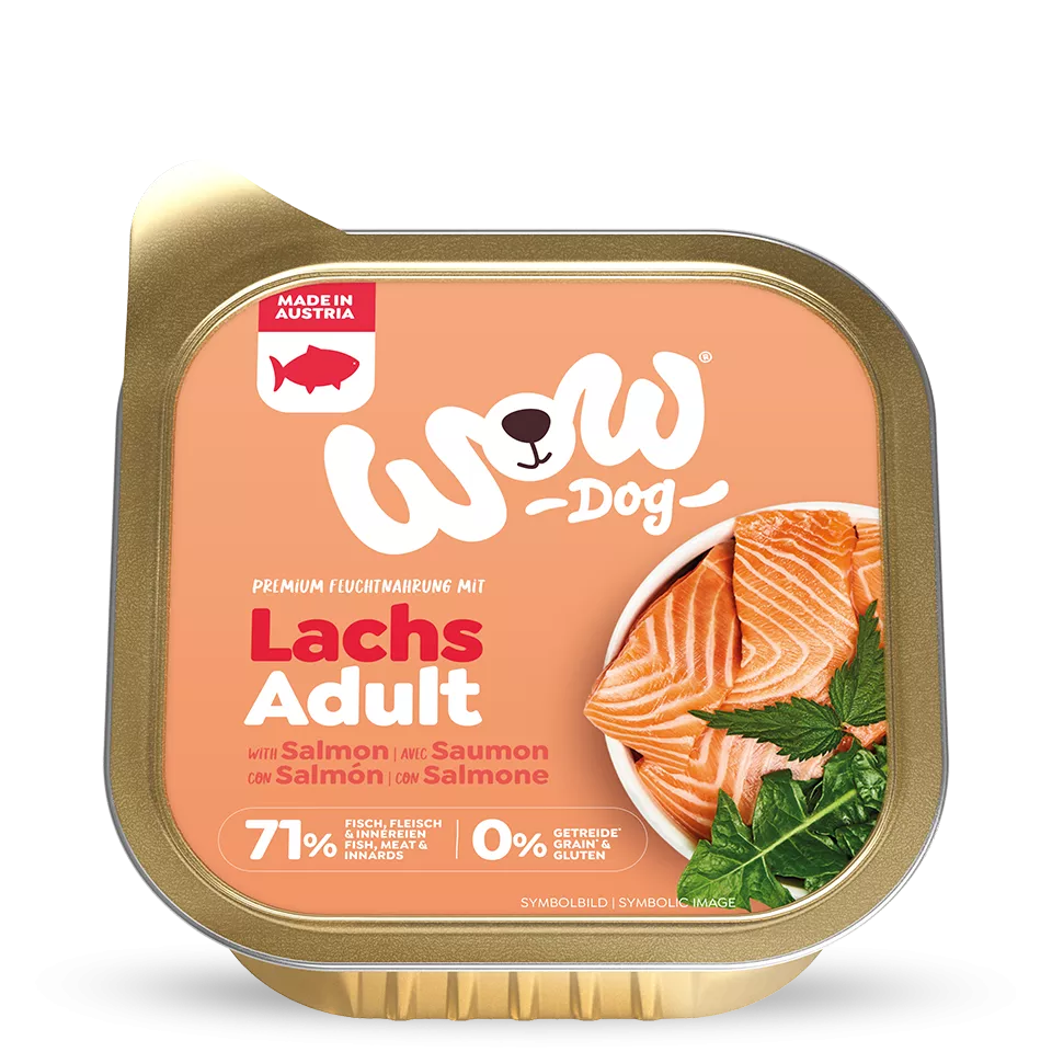 Premium Hunde-Nassfutter Lachs 150g kaufen | WOW DOG