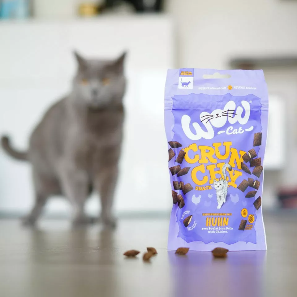 Crunchy Snack mit Huhn
