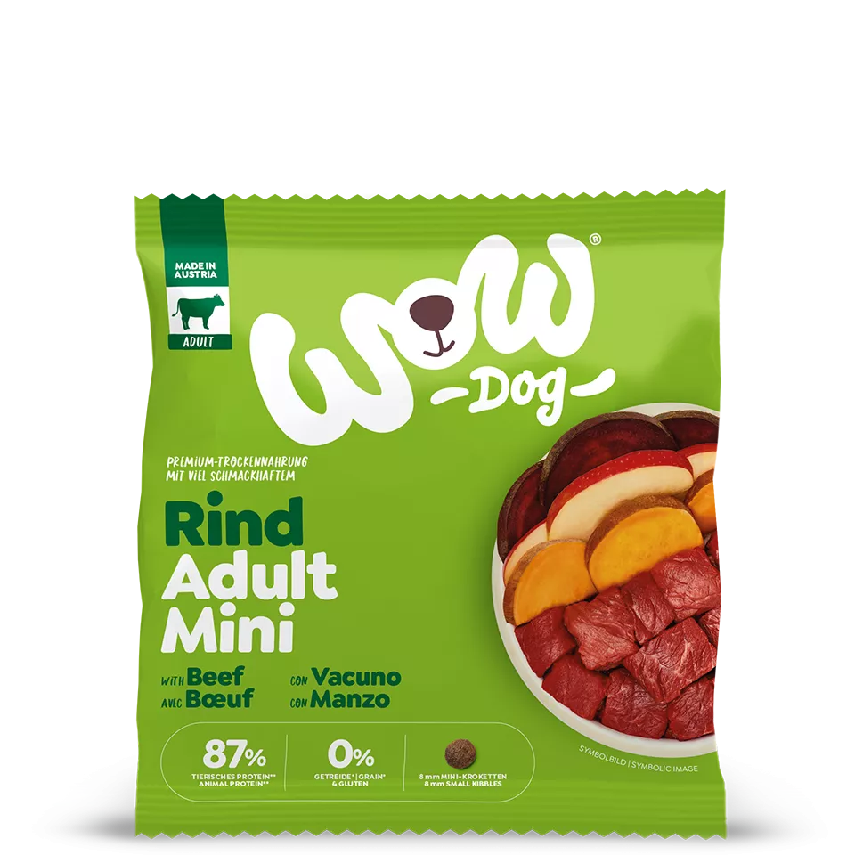 trockenfutter welpen test The Goodstuff Puppy/Junior für gesundes Wachstum – Welpenfutter Lachs  getreidefrei