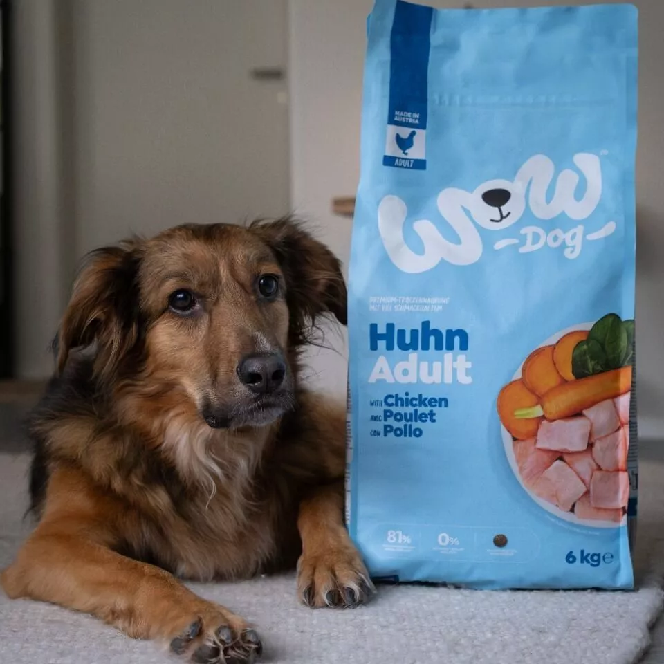 Hochwertiges Hunde-Trockenfutter Huhn kaufen | WOW DOG