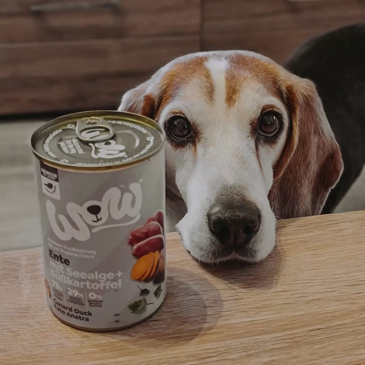 WOW Hundefutter | Nassfutter mit Ente gnstig kaufen