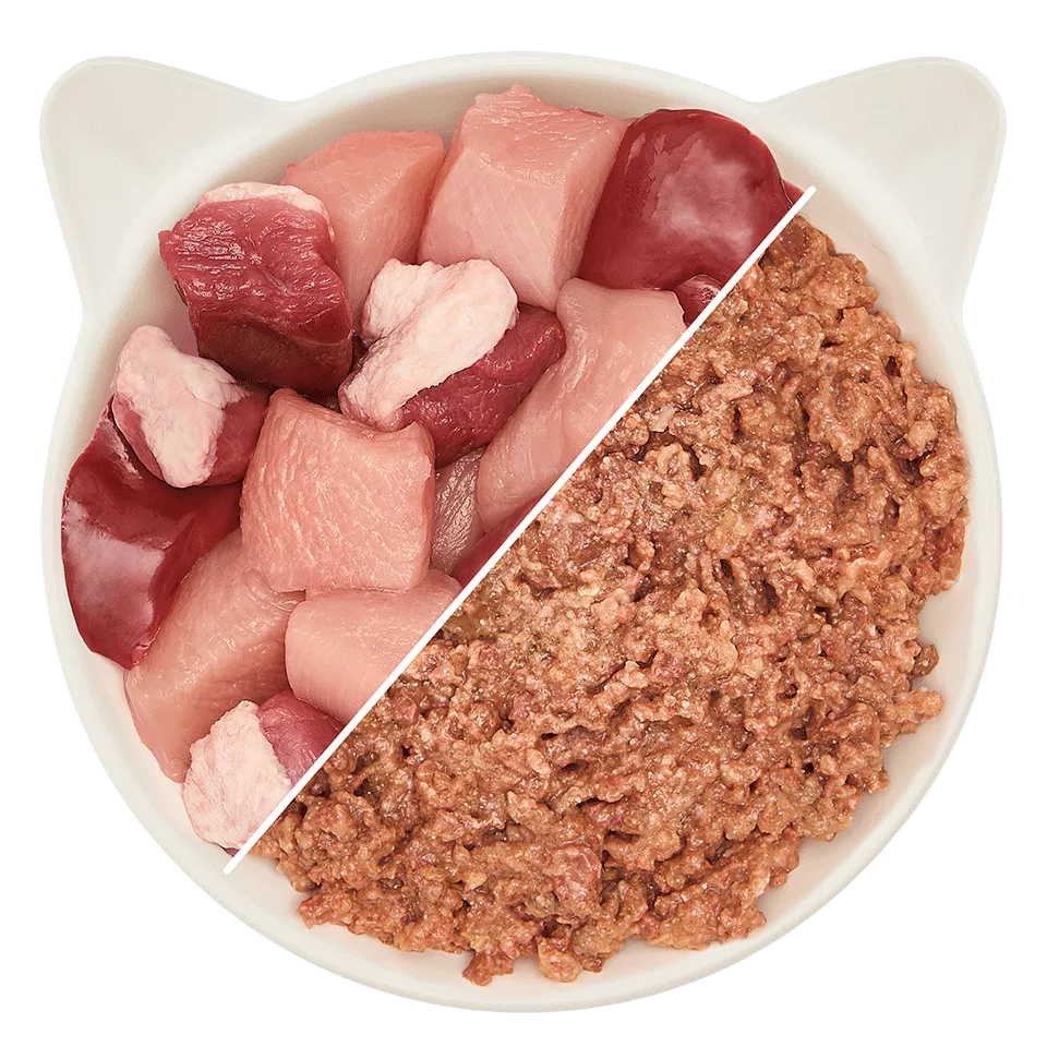 Senior Paté Geflügel & Ente
