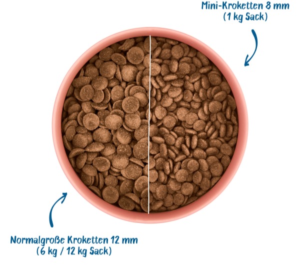 Trockenfutter Korkettengr&ouml;&szlig;e im Vergleich