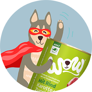 Gezeichneter Hund mit Cape und Brille der auf einer Nassfutter Dose Adult Rind reitet