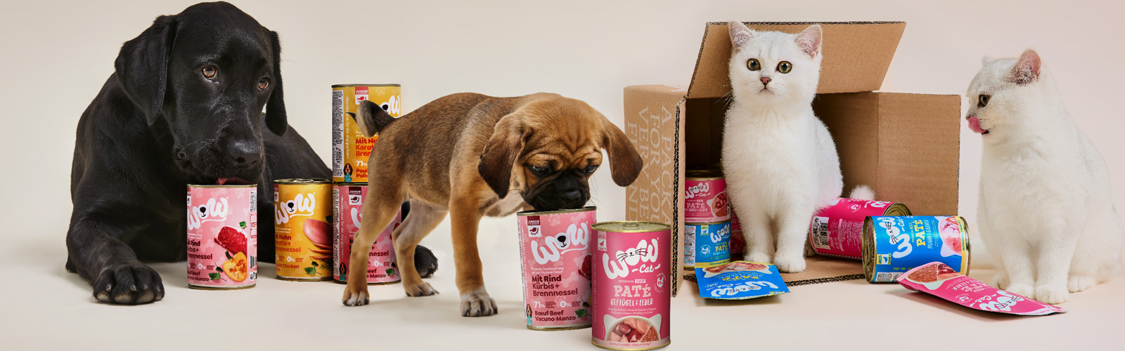 Kitten und Welpen die von WOW DOG und WOW CAT Junior Produkten umgeben sind, daran riechen und schlecken.