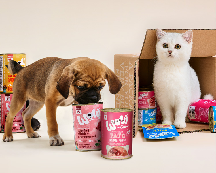 Kitten und Welpen die von WOW DOG und WOW CAT Junior Produkten umgeben sind, daran riechen und schlecken.