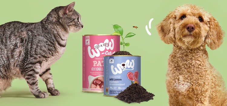 Eine Katze und ein Hund stehen im Bild und mit ihnen zwei Dosen vobei aus einer eine grüne Pflanze wächst.