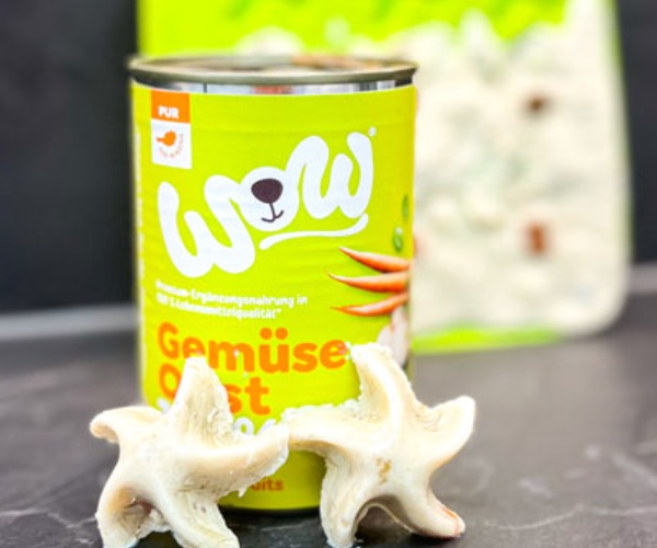 Hundeeis aus Gemüse