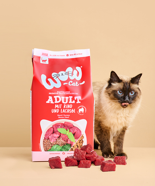 Katze mit einer Packung Katzen-Trockenfutter von WOW CAT