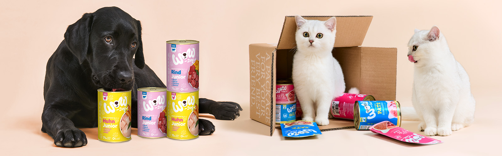 Kitten und Welpen die von WOW DOG und WOW CAT Junior Produkten umgeben sind, daran riechen und schlecken.