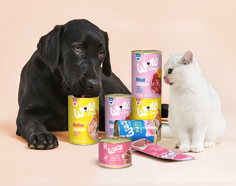 Kitten und Welpen die von WOW DOG und WOW CAT Junior Produkten umgeben sind, daran riechen und schlecken.
