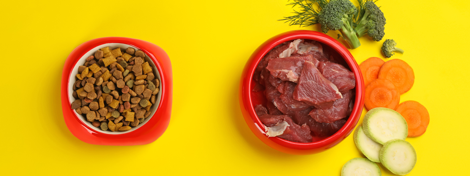 Trockenfutter und Nassfutter für Hunde serviert
