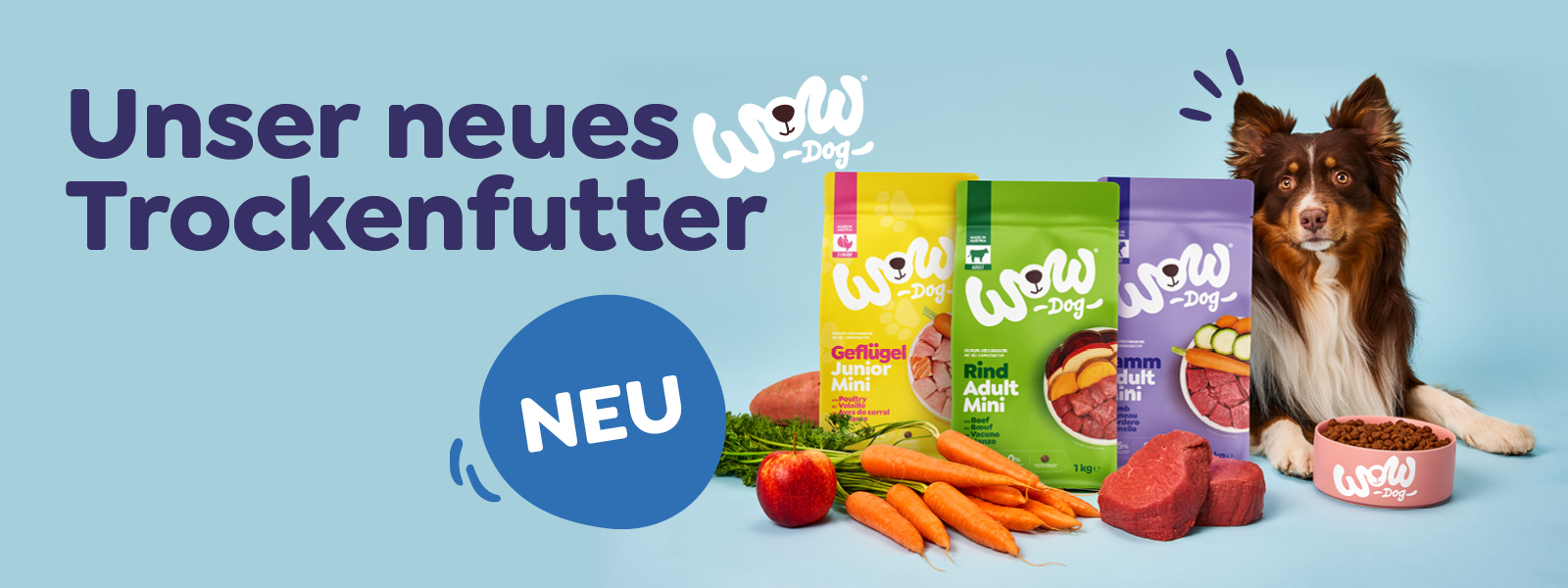 Hund liegt neben wow dog Trockenfutter