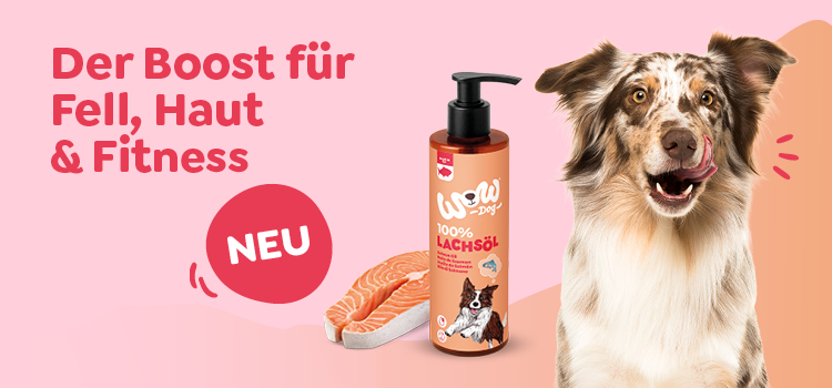 Hund mit Lachs&ouml;l von Wow Dog