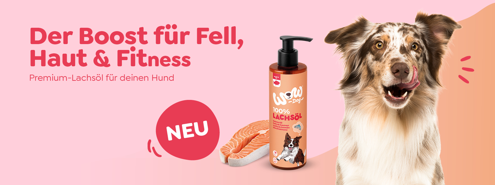 Hund mit Lachs&ouml;l von Wow Dog