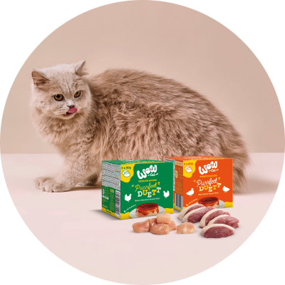 Hund mit einer Mistkabel auf der eine Dose Adult Pute aufgespie&szlig;t wurde