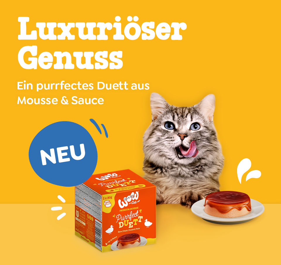 Hund liegt neben wow dog Trockenfutter