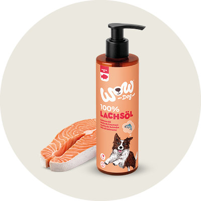 Hund mit einer Mistkabel auf der eine Dose Adult Pute aufgespie&szlig;t wurde