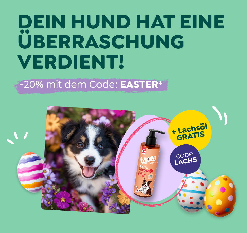 Ein Hund hustet