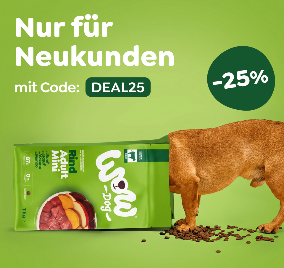 Ein Hund hustet