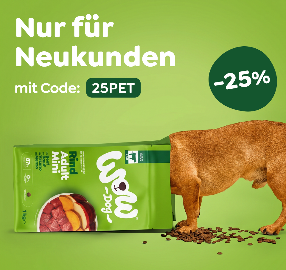 Ein Hund hustet