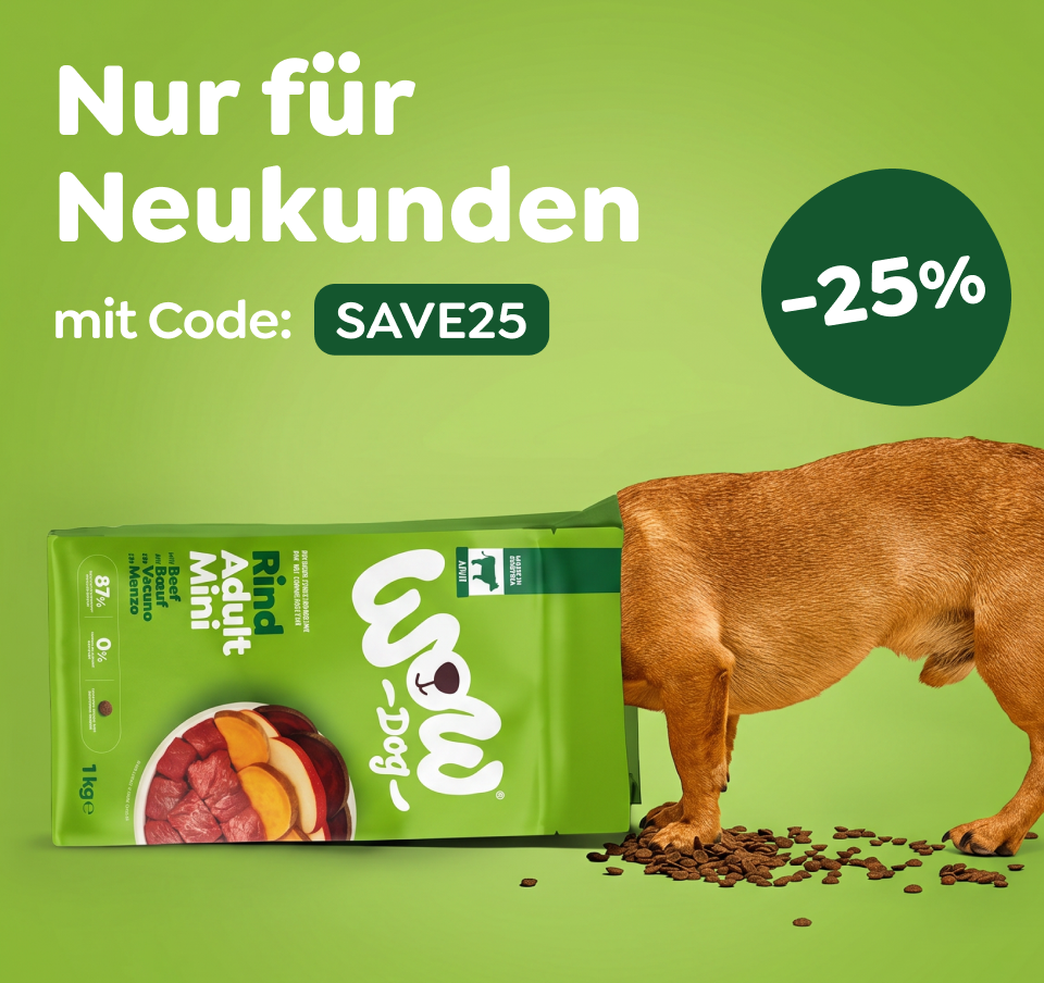 Ein Hund hustet
