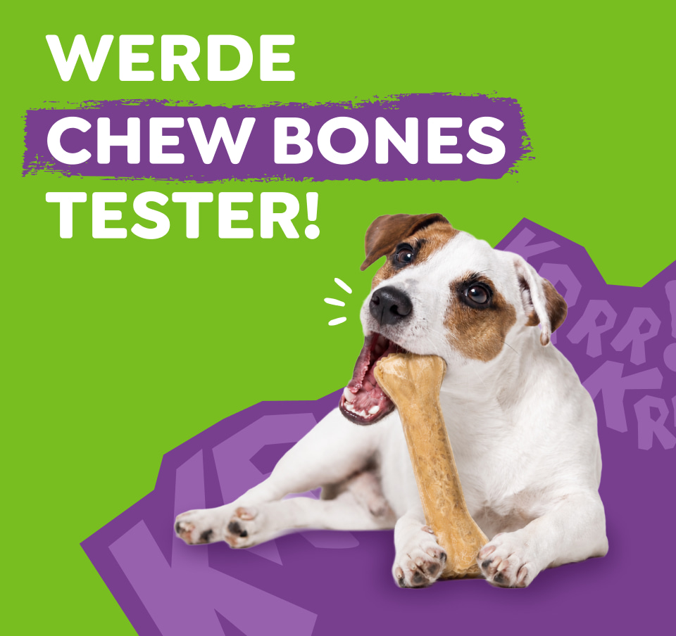 Ein Hund schaut lustig in die Kamera