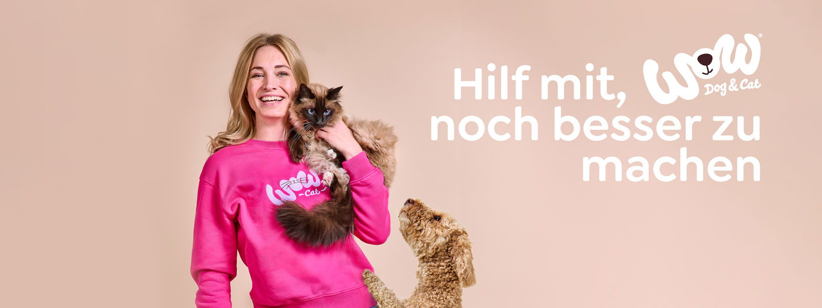 Ein Hund schaut lustig in die Kamera