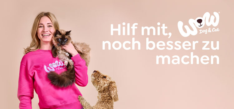 Ein Hund schaut lustig in die Kamera