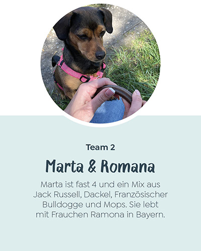 Marta die vor einer Stange WOW Natural Dentals sitzt die in zwei Händen gehalten werden.