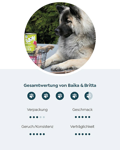 Baika liegt auf dem Boden und vor ihr stehen WOW Nassfutterdosen in einem kleinen Krob.