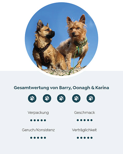 Die zwei Hunde Barry & Oonagh stehend auf einem Stein und blicken in die Luft