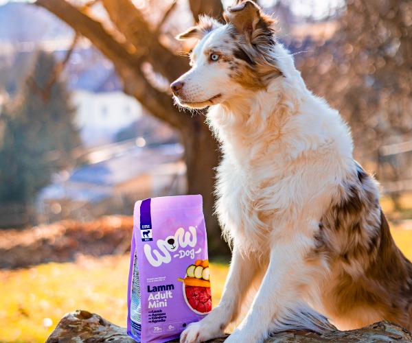 Hund mit WOW DOG Trockenfutter im Garten