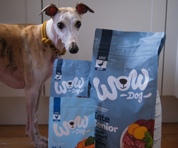 Hund steht neben einem Fluss mit einer Packung Trockenfutter von WOW DOG