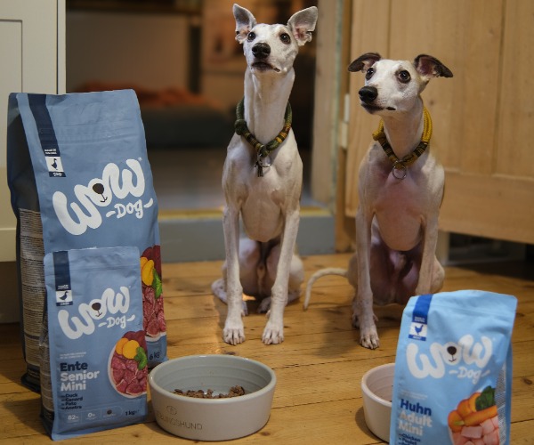 2 Hunde warten auf ihr Trockenfutter von wow dog