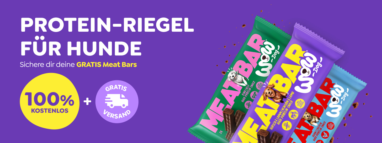 Ein Hund schaut lustig in die Kamera