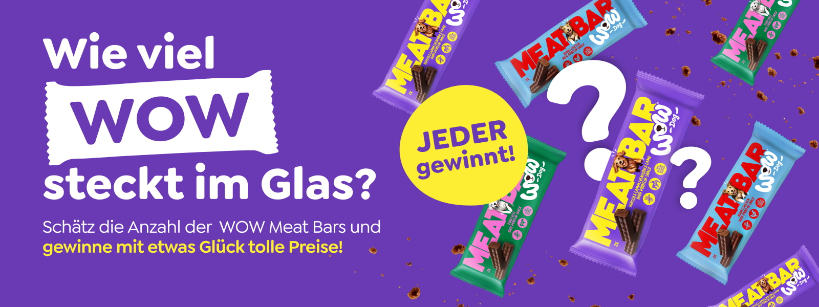 Ein Hund schaut lustig in die Kamera