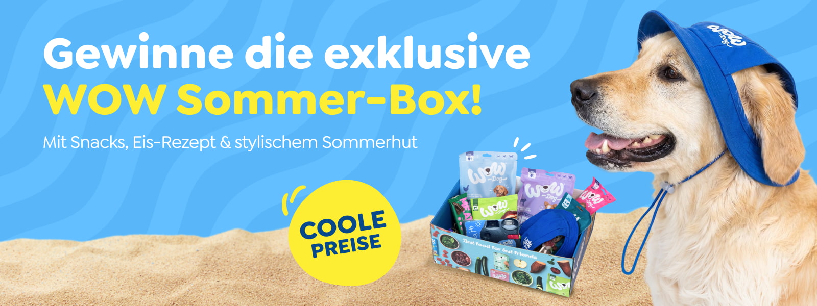 Ein Hund schaut lustig in die Kamera