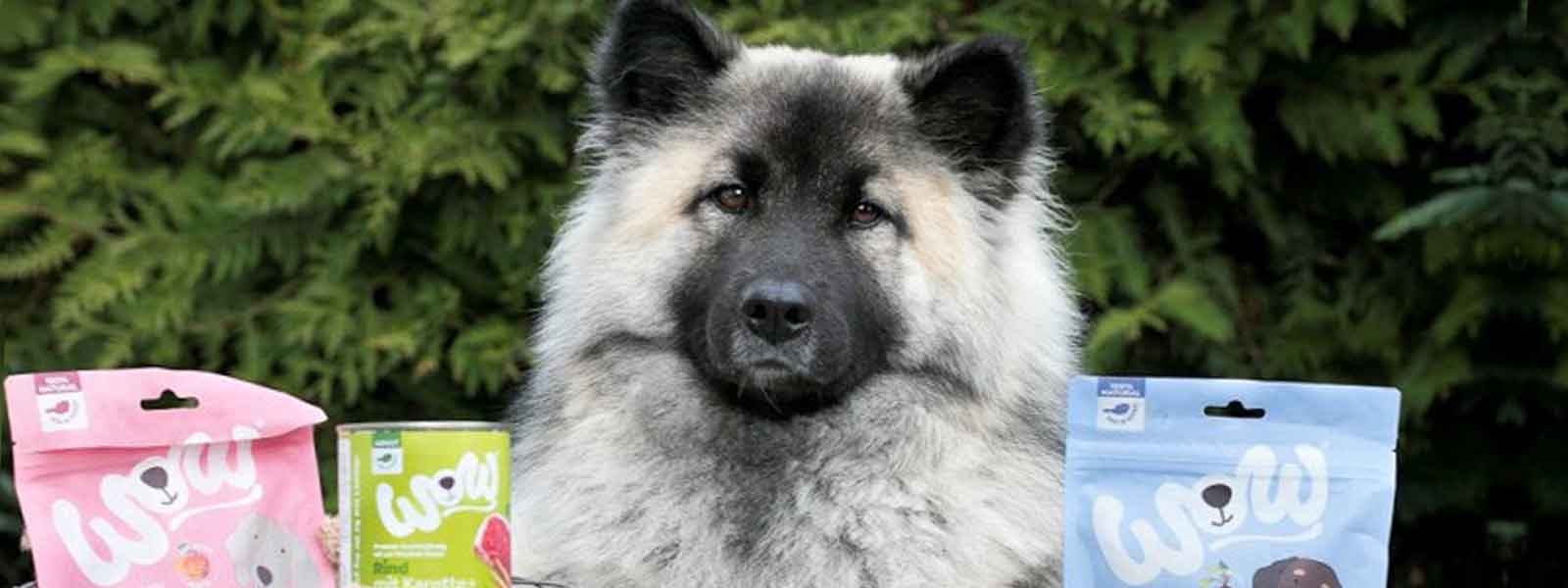 Der Hund Baika zwischen unseren WOW Produkten