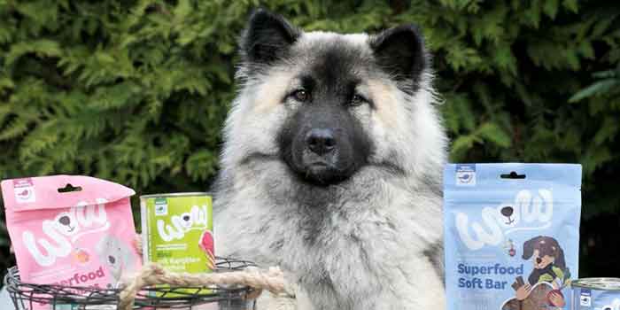 Der Hund Baika zwischen unseren WOW Produkten