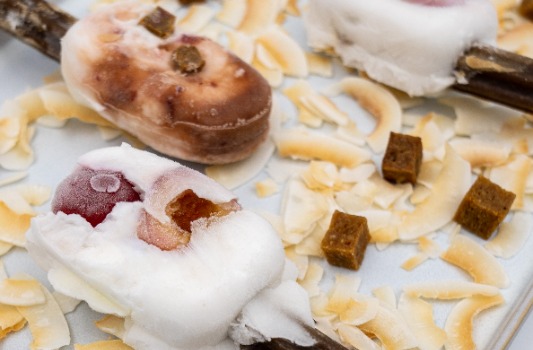 Eis für Hunde selbst gemacht