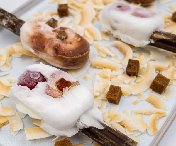 Eis für Hunde selbst gemacht