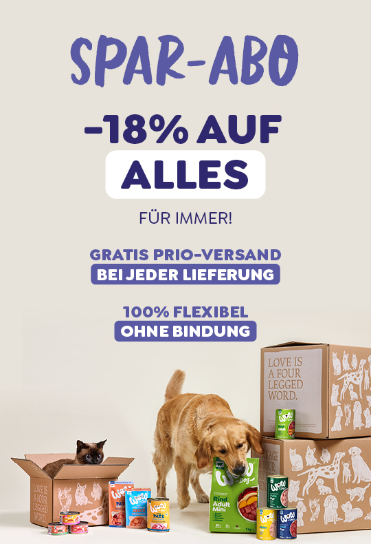 Abo Abschliessen & Sparen