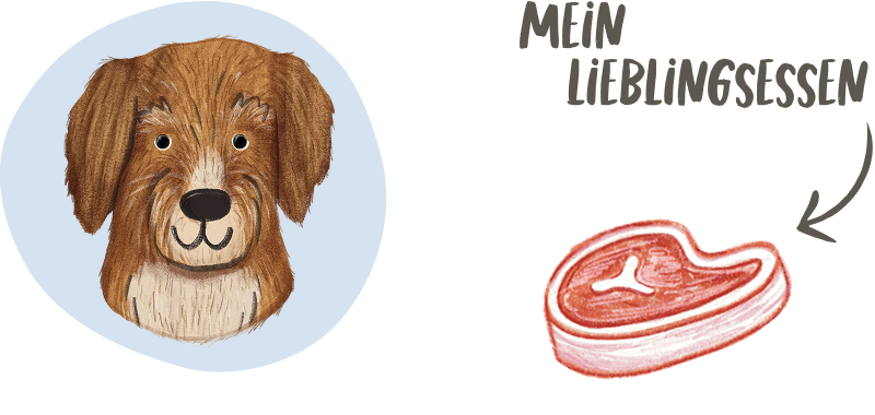 Cartoon Dog
