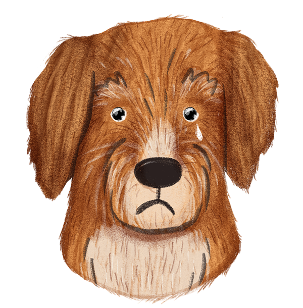 Trauriger Hund